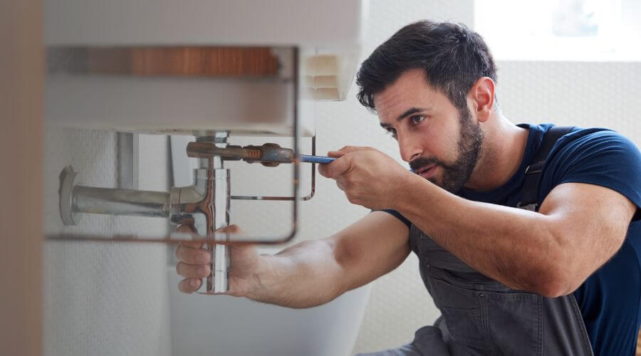 Trap Repair/Replacement in Oak Park, MI